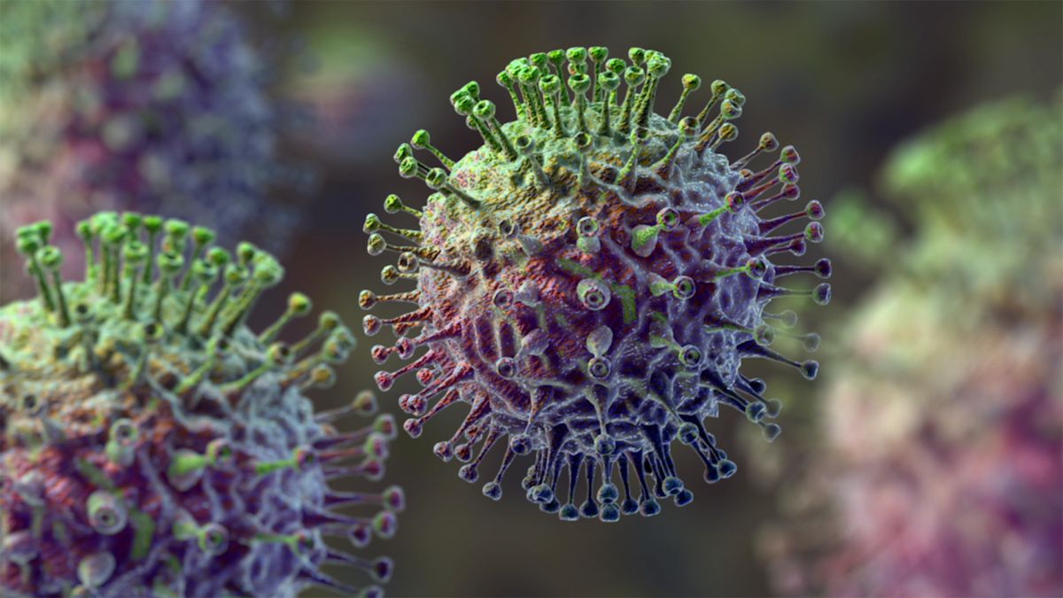 Virus Paling Mematikan Di Dunia